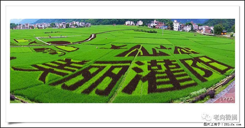 【春天,广西桂林灌阳县向您发出邀请!】开篇 - 游山玩水 - 抚顺生活社区 - 抚顺28生活网 fushun.28life.com