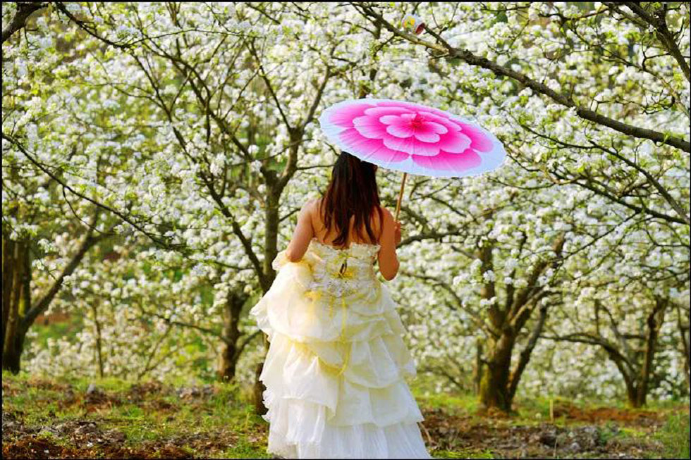 【春天,广西桂林灌阳县向您发出邀请!】我们在灌阳看梨花 - 游山玩水 - 抚顺生活社区 - 抚顺28生活网 fushun.28life.com