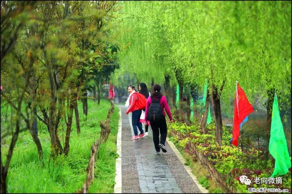 【春天,广西桂林灌阳县向您发出邀请!】江口老街又逢春 - 游山玩水 - 抚顺生活社区 - 抚顺28生活网 fushun.28life.com