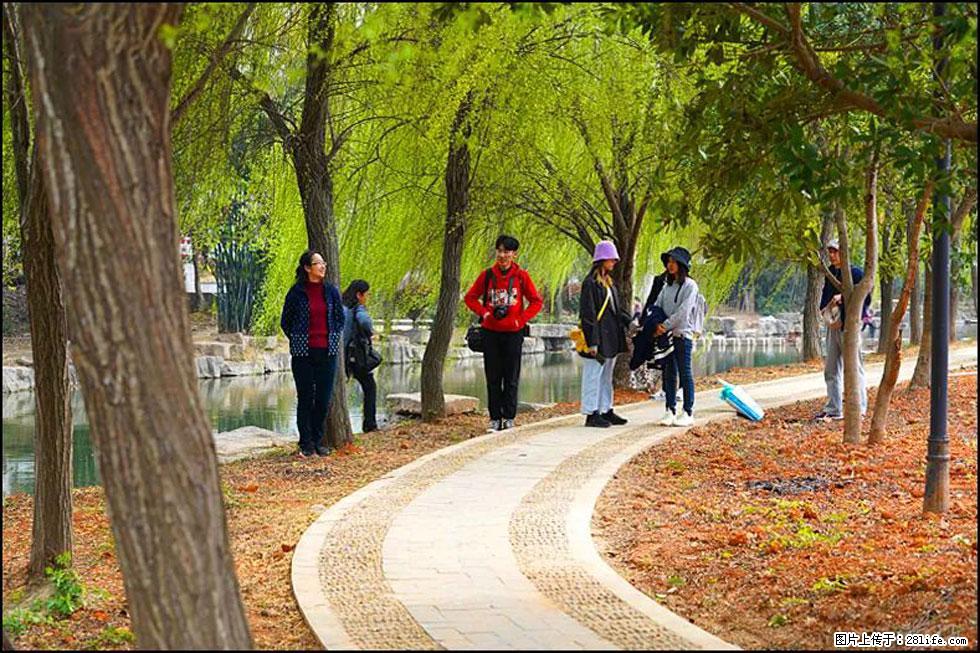 【春天,广西桂林灌阳县向您发出邀请!】江口老街又逢春 - 游山玩水 - 抚顺生活社区 - 抚顺28生活网 fushun.28life.com