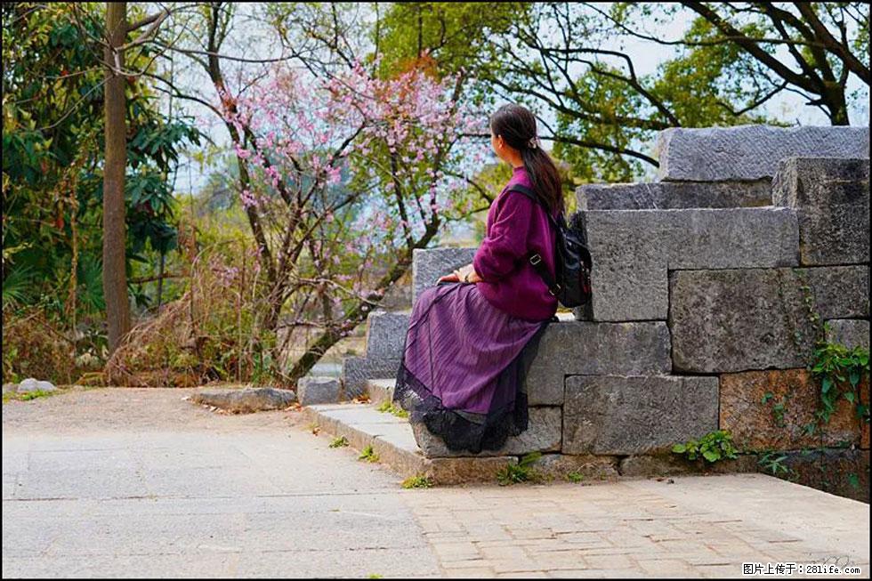 【春天,广西桂林灌阳县向您发出邀请!】江口老街又逢春 - 游山玩水 - 抚顺生活社区 - 抚顺28生活网 fushun.28life.com