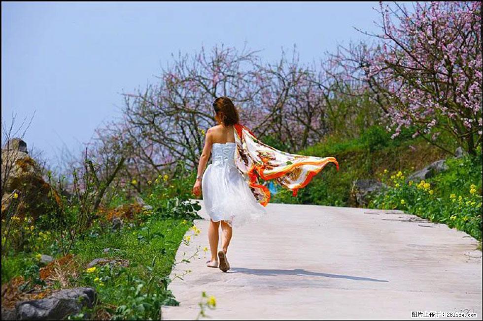 【春天,广西桂林灌阳县向您发出邀请!】望月岭上桃花开 - 游山玩水 - 抚顺生活社区 - 抚顺28生活网 fushun.28life.com