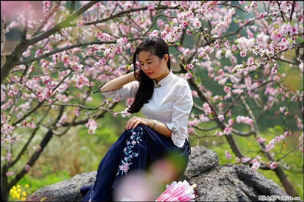 【春天,广西桂林灌阳县向您发出邀请!】望月岭上桃花开 - 游山玩水 - 抚顺生活社区 - 抚顺28生活网 fushun.28life.com