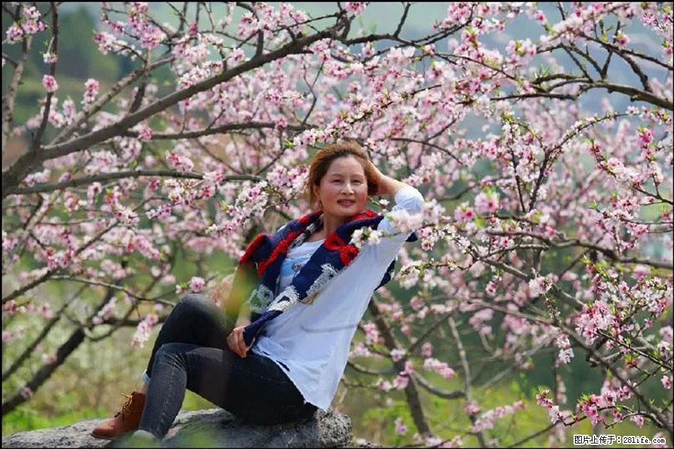 【春天,广西桂林灌阳县向您发出邀请!】望月岭上桃花开 - 游山玩水 - 抚顺生活社区 - 抚顺28生活网 fushun.28life.com