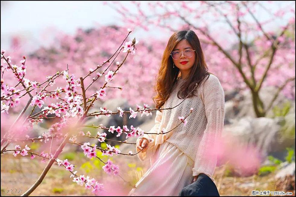 【春天,广西桂林灌阳县向您发出邀请!】望月岭上桃花开 - 游山玩水 - 抚顺生活社区 - 抚顺28生活网 fushun.28life.com