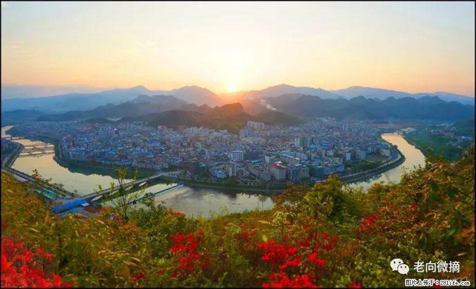 【春天，广西桂林灌阳县向您发出邀请！】登麒麟山，相约映山红 - 游山玩水 - 抚顺生活社区 - 抚顺28生活网 fushun.28life.com