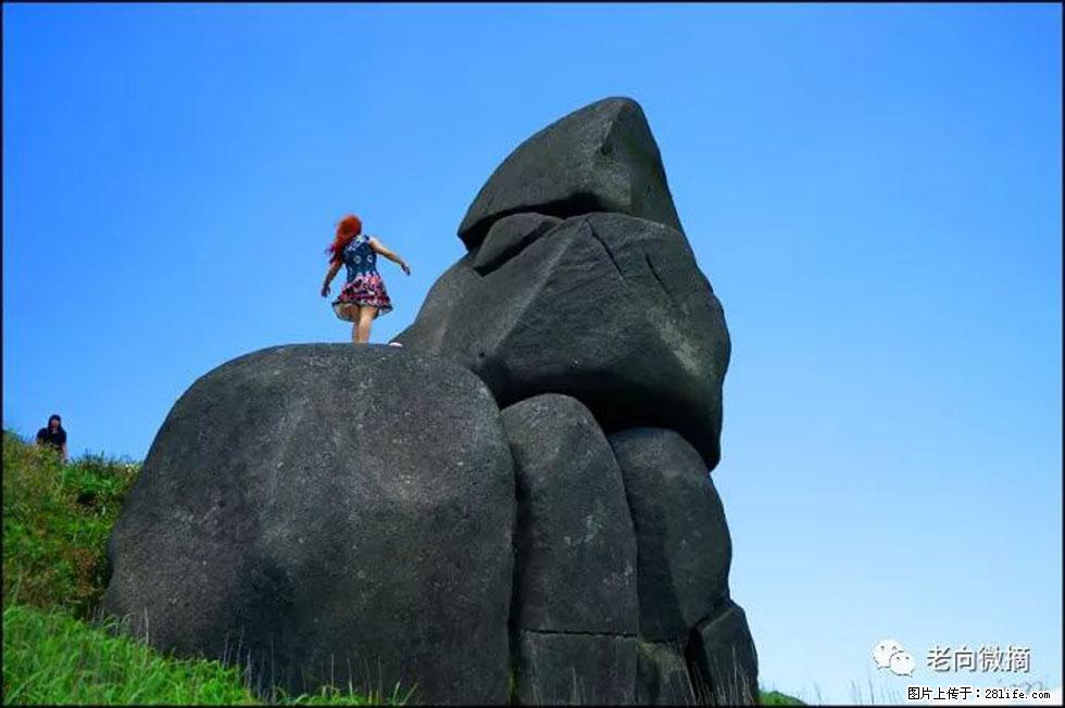 【春天，广西桂林灌阳县向您发出邀请！】宝盖山上映山红 - 游山玩水 - 抚顺生活社区 - 抚顺28生活网 fushun.28life.com