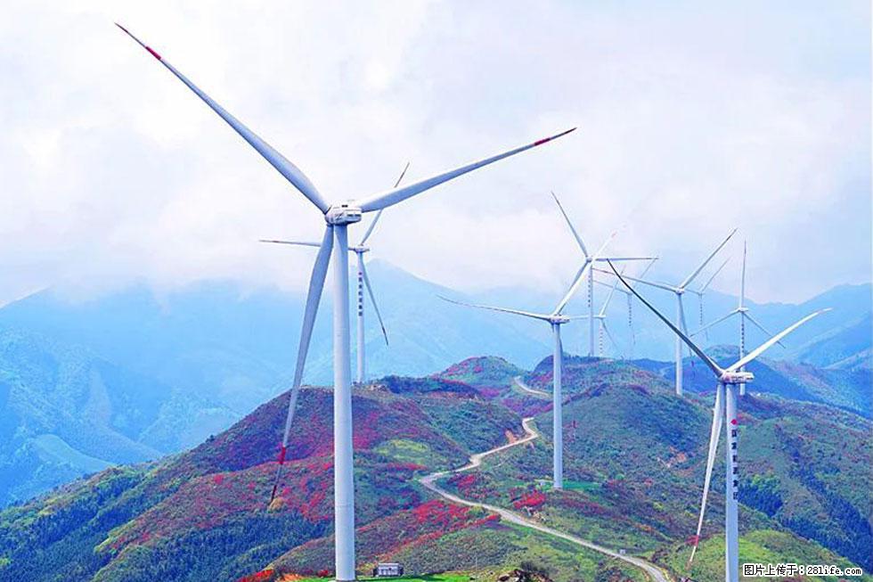 【春天，广西桂林灌阳县向您发出邀请！】春木界上映山红 - 游山玩水 - 抚顺生活社区 - 抚顺28生活网 fushun.28life.com