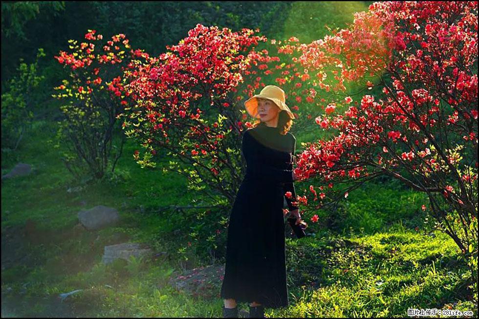 【春天，广西桂林灌阳县向您发出邀请！】春木界上映山红 - 游山玩水 - 抚顺生活社区 - 抚顺28生活网 fushun.28life.com