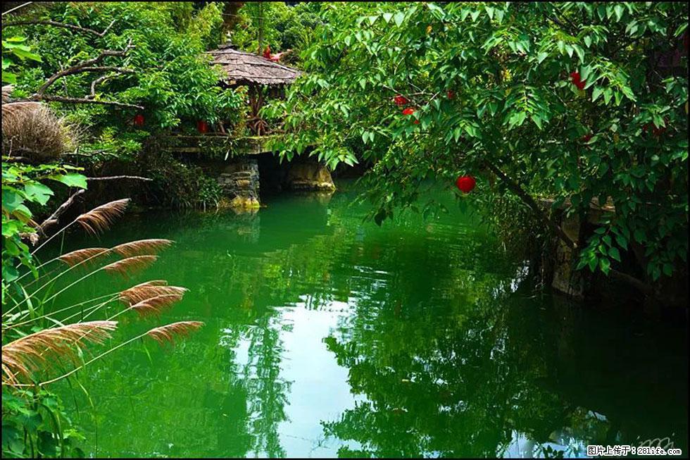 【春天，广西桂林灌阳县向您发出邀请！】如梦似幻莲溪庐 - 游山玩水 - 抚顺生活社区 - 抚顺28生活网 fushun.28life.com