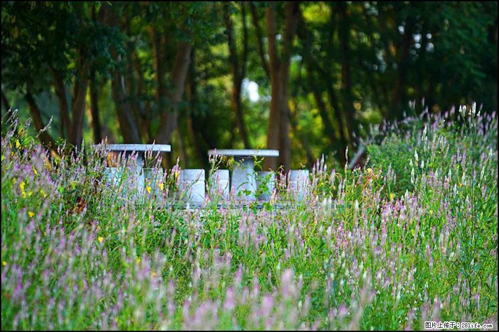 【春天,广西桂林灌阳县向您发出邀请!】熊家寨湿地公园 - 游山玩水 - 抚顺生活社区 - 抚顺28生活网 fushun.28life.com