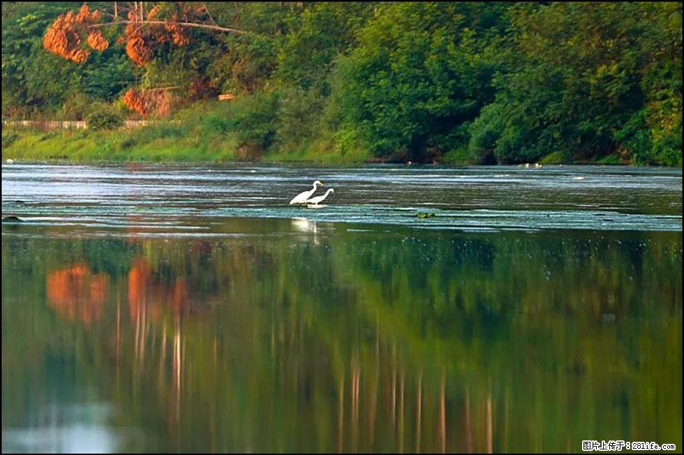 【春天,广西桂林灌阳县向您发出邀请!】熊家寨湿地公园 - 游山玩水 - 抚顺生活社区 - 抚顺28生活网 fushun.28life.com