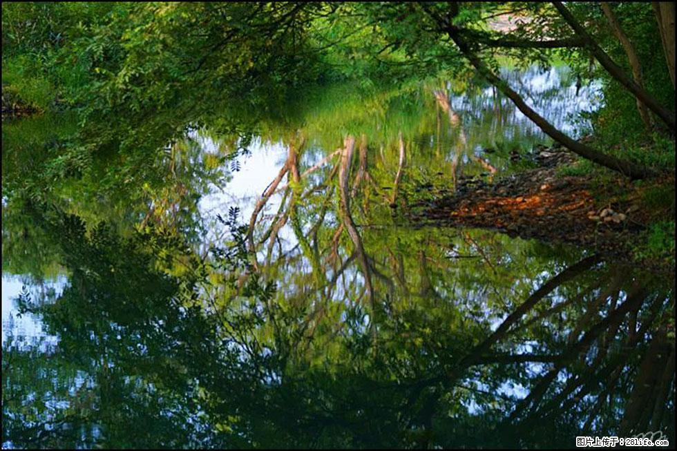 【春天,广西桂林灌阳县向您发出邀请!】熊家寨湿地公园 - 游山玩水 - 抚顺生活社区 - 抚顺28生活网 fushun.28life.com