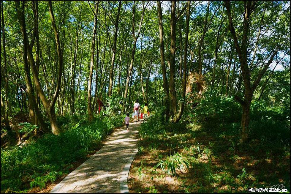 【春天,广西桂林灌阳县向您发出邀请!】熊家寨湿地公园 - 游山玩水 - 抚顺生活社区 - 抚顺28生活网 fushun.28life.com