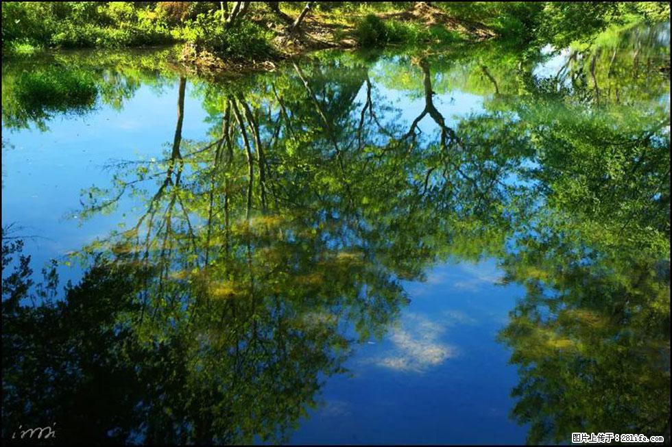 【春天,广西桂林灌阳县向您发出邀请!】熊家寨湿地公园 - 游山玩水 - 抚顺生活社区 - 抚顺28生活网 fushun.28life.com