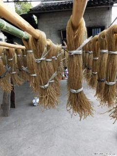 【灌阳正宗红薯粉】美女家里自己做的，干净卫生，假一赔十，价格合理，抢购电话：13737312895 - 抚顺28生活网 fushun.28life.com