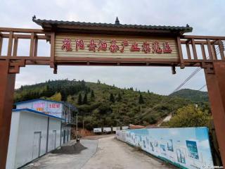 【灌阳县油茶产业示范区】一个有着充实的精神生活的人，对待身外之物自会有一种淡泊的态度 - 抚顺28生活网 fushun.28life.com