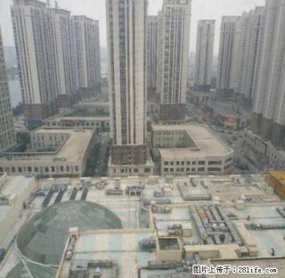 万达B1公寓出租255平方米，清水，4间相连 - 抚顺28生活网 fushun.28life.com