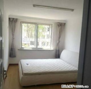 13方块精装修63平1200元2楼 - 抚顺28生活网 fushun.28life.com