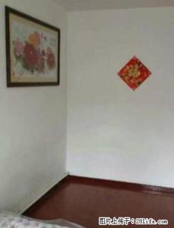 河东市场绿州附近两室一厅 - 抚顺28生活网 fushun.28life.com