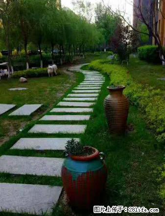 阳光丽景二期71平四楼出租，简单装修 - 房屋出租 - 房屋租售 - 抚顺分类信息 - 抚顺28生活网 fushun.28life.com