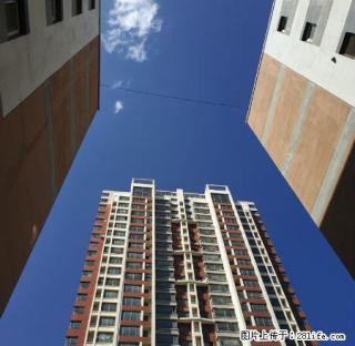 国际鑫城70平出租家具家电全带每月800元 - 抚顺28生活网 fushun.28life.com