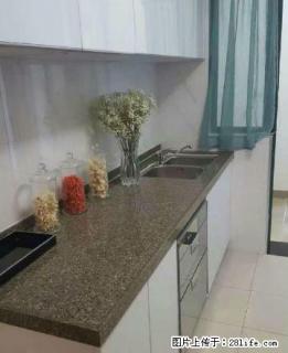 首次出租 恒大广场 精装大单间 干净 拎包入住 - 抚顺28生活网 fushun.28life.com