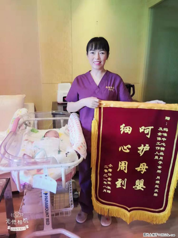 上海高端月子会所招新手月嫂,零基础带教,包吃住 - 职场交流 - 抚顺生活社区 - 抚顺28生活网 fushun.28life.com