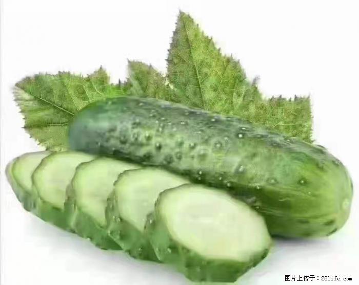 【生活小常识】吃黄瓜的好处 - 生活百科 - 抚顺生活社区 - 抚顺28生活网 fushun.28life.com