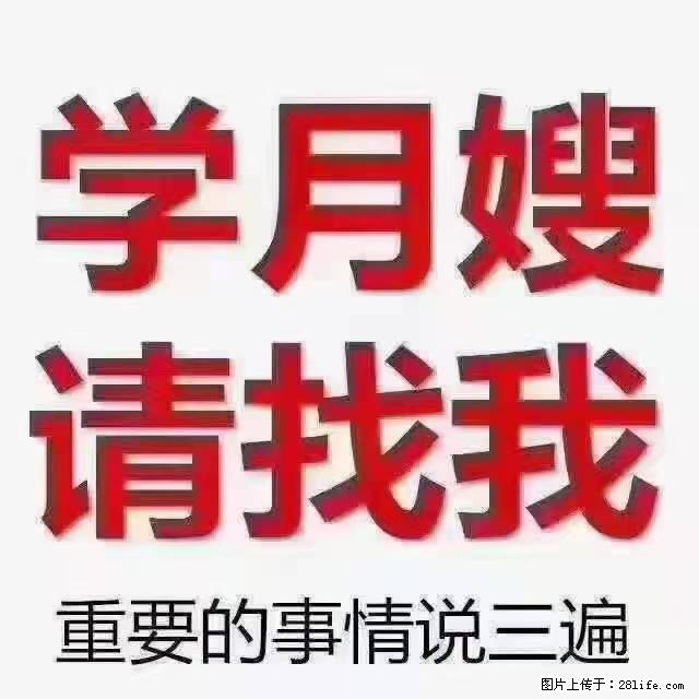 【招聘】月嫂,上海徐汇区 - 职场交流 - 抚顺生活社区 - 抚顺28生活网 fushun.28life.com