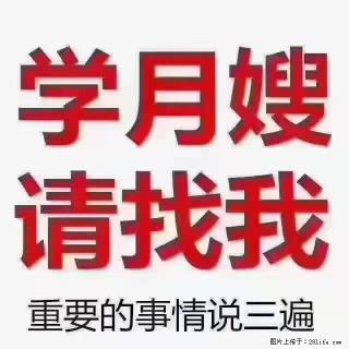 【招聘】月嫂，上海徐汇区 - 抚顺28生活网 fushun.28life.com