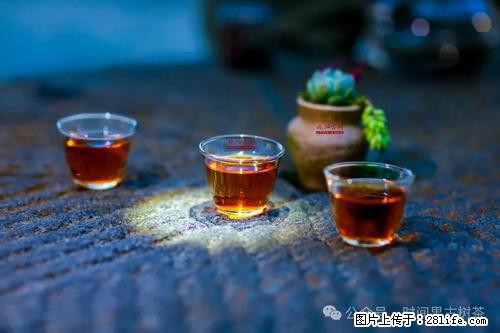 时间果百年古树2025年春红茶 - 购物交流 - 抚顺生活社区 - 抚顺28生活网 fushun.28life.com