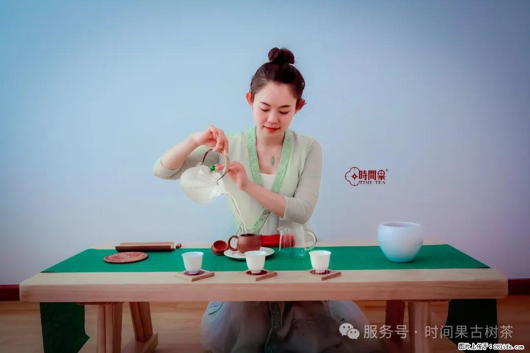 时间果百年古树龙珠普洱生茶 - 购物交流 - 抚顺生活社区 - 抚顺28生活网 fushun.28life.com