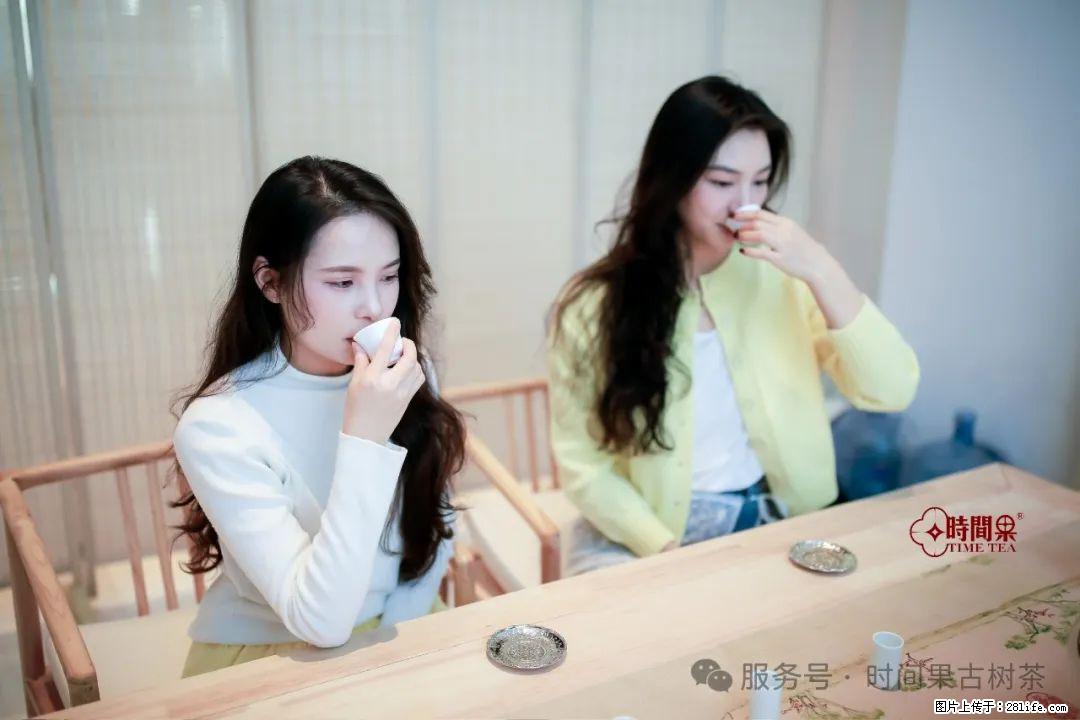 时间果百年古树龙珠普洱生茶 - 购物交流 - 抚顺生活社区 - 抚顺28生活网 fushun.28life.com