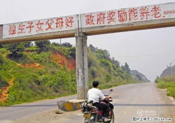 全面两孩政策计划明年元旦起实施 夫妻可延长生育假 - 抚顺生活资讯 - 抚顺28生活网 fushun.28life.com