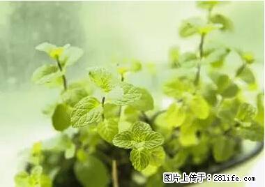 晕车、脚气、牙齿变黄、皮肤粗糙?学会这些三分钟搞定! - 抚顺生活资讯 - 抚顺28生活网 fushun.28life.com