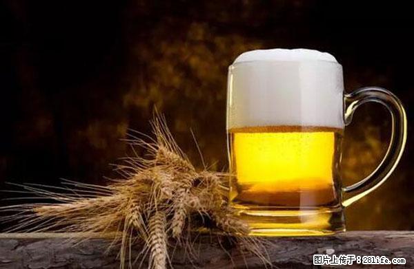 原来它这么毒,然而竟然满大街都是.... - 抚顺生活资讯 - 抚顺28生活网 fushun.28life.com