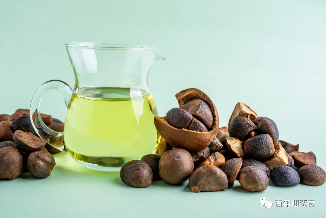 世界没有真相，只有认知，最好的食用油是中国的山茶油！ - 抚顺生活资讯 - 抚顺28生活网 fushun.28life.com