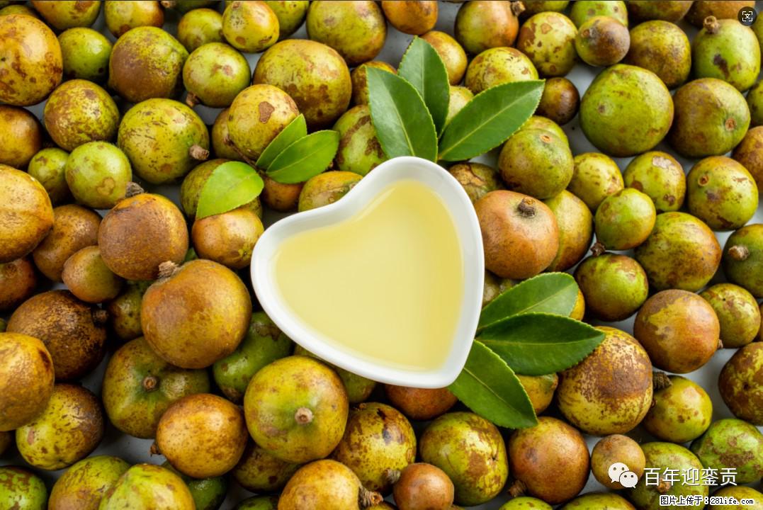 世界没有真相，只有认知，最好的食用油是中国的山茶油！ - 抚顺生活资讯 - 抚顺28生活网 fushun.28life.com