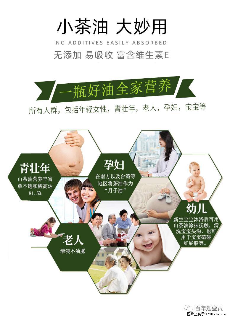 世界没有真相，只有认知，最好的食用油是中国的山茶油！ - 抚顺生活资讯 - 抚顺28生活网 fushun.28life.com