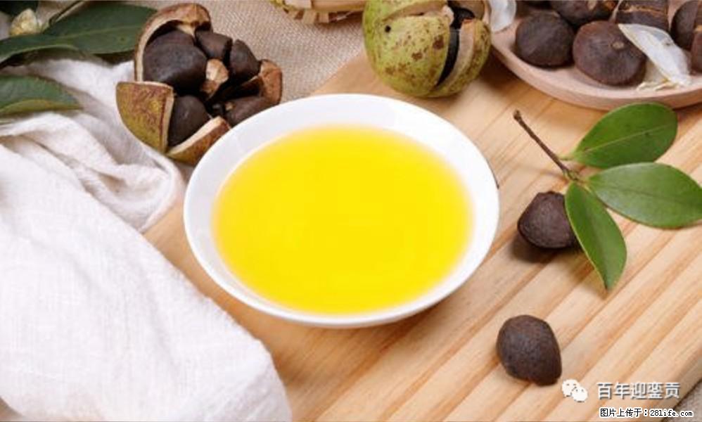 世界没有真相，只有认知，最好的食用油是中国的山茶油！ - 抚顺生活资讯 - 抚顺28生活网 fushun.28life.com