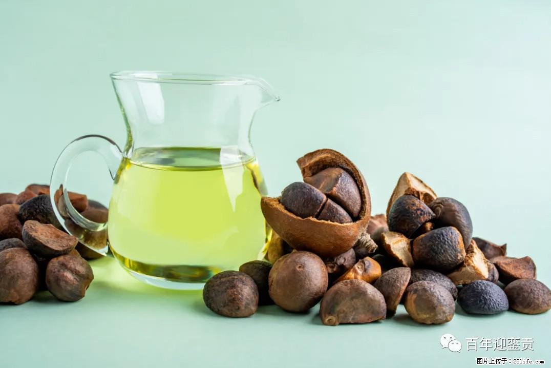 世界没有真相，只有认知，最好的食用油是中国的山茶油！ - 抚顺生活资讯 - 抚顺28生活网 fushun.28life.com