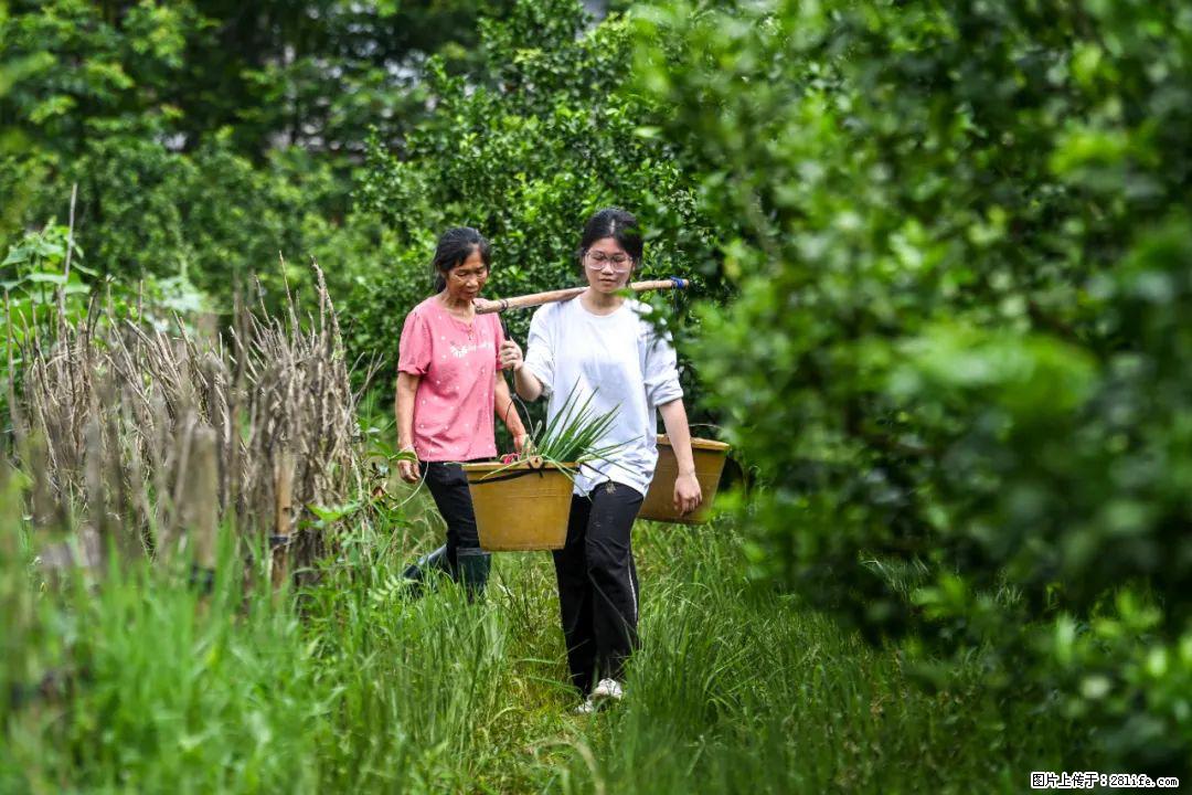 全网追的“扁担女孩”，找了一份暑假工，时薪12元 - 抚顺生活资讯 - 抚顺28生活网 fushun.28life.com