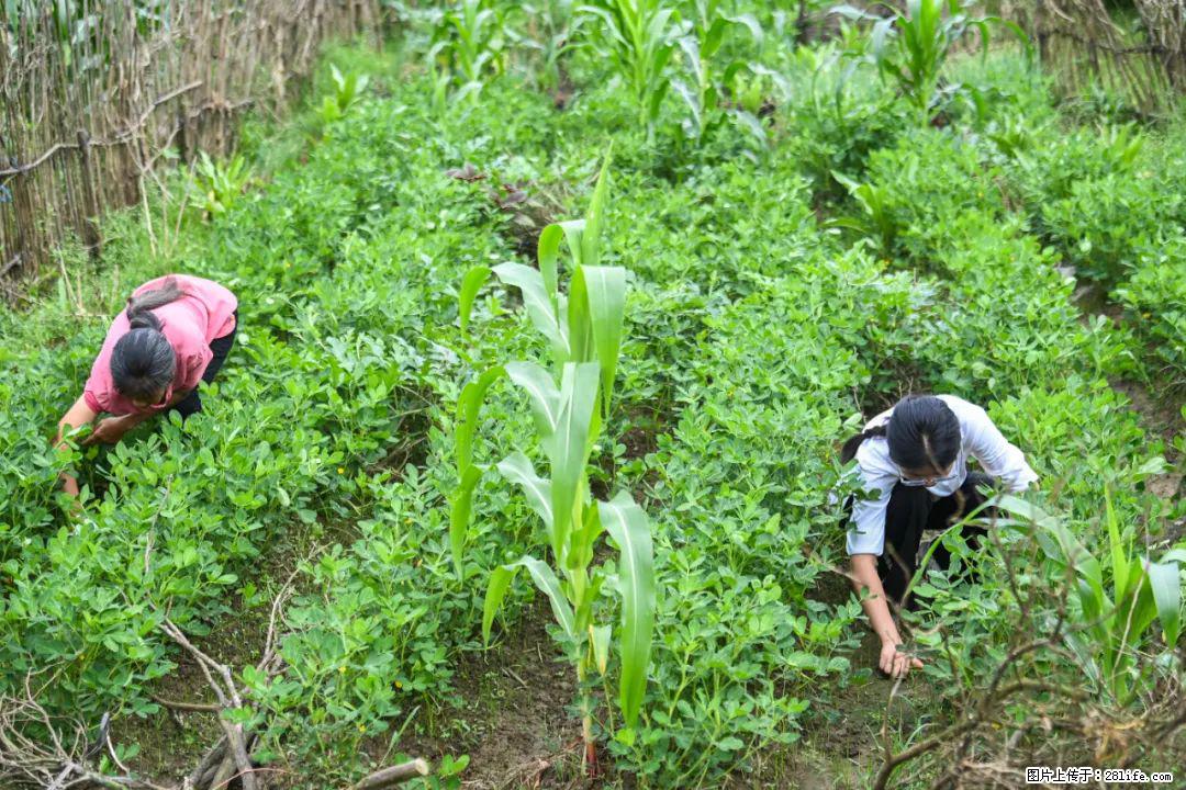 全网追的“扁担女孩”，找了一份暑假工，时薪12元 - 抚顺生活资讯 - 抚顺28生活网 fushun.28life.com