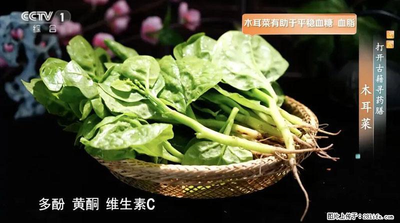 比牛奶补钙还厉害!凉血解毒、稳血糖...这菜冬天必吃,很多人却当草 - 抚顺生活资讯 - 抚顺28生活网 fushun.28life.com