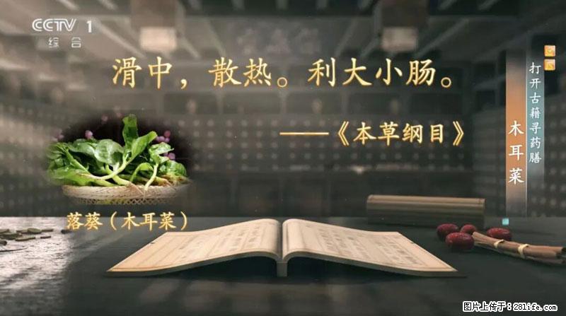 比牛奶补钙还厉害!凉血解毒、稳血糖...这菜冬天必吃,很多人却当草 - 抚顺生活资讯 - 抚顺28生活网 fushun.28life.com