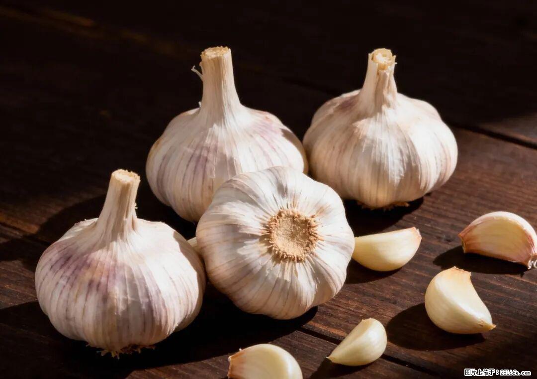 关于大蒜，除了“天然抗生素”，这4个谣言更该警惕! - 抚顺生活资讯 - 抚顺28生活网 fushun.28life.com