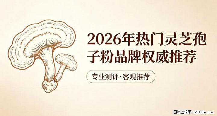 灵芝孢子粉含量越高越有效？2026 年七款热门品牌深度实测，肠胃敏感者避坑指南 - 抚顺生活资讯 - 抚顺28生活网 fushun.28life.com
